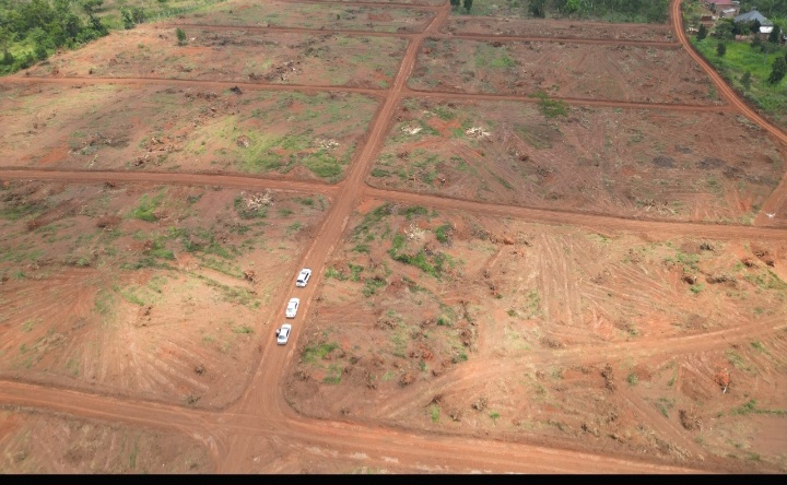 Bombo Rd 50*100 